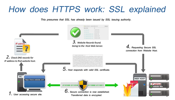 Free SSL Checker